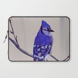 Blue Jay Bird Laptop Sleeve