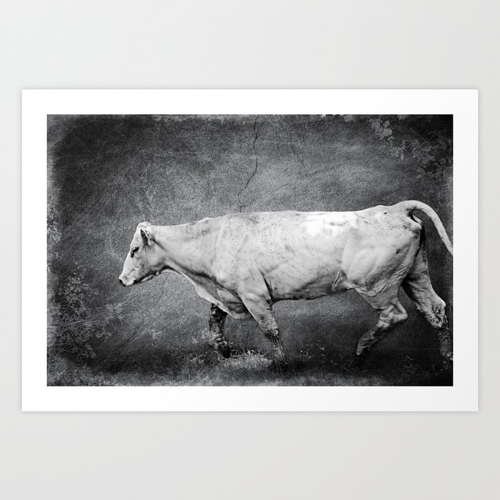 Cattle Rush Art Print