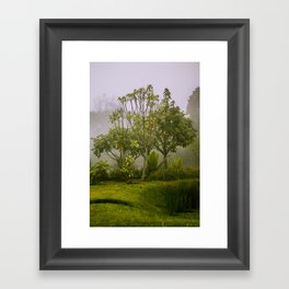 Green Garden Framed Art Print