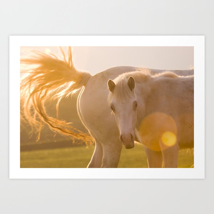 sun in horse's tail Art Print