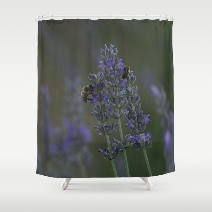 Honey Bees On Lavender Stalks Close Up Photography Shower Curtain
