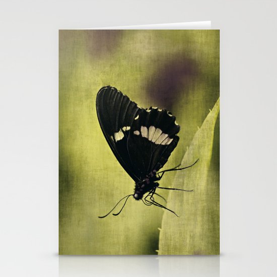Butterfly Stationery Cards