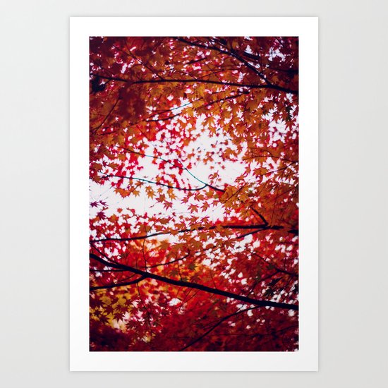 up in the trees you'll find peace Art Print