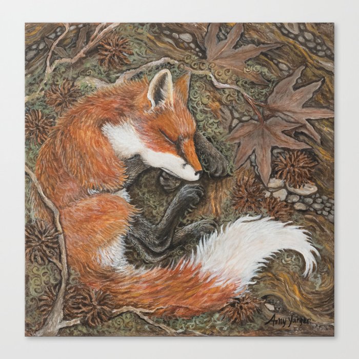 Fox Nap Canvas Print