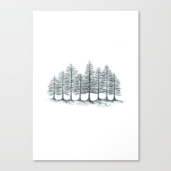 Old Pines Canvas Print