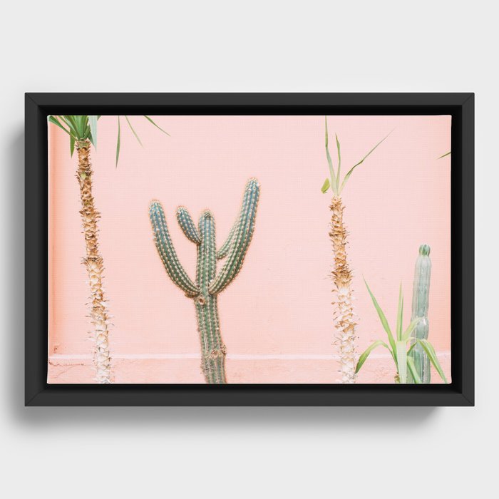 Framed Canvas