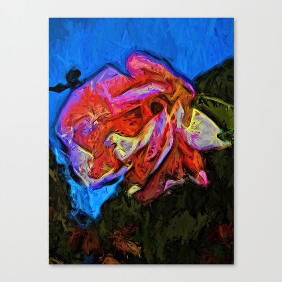 Wild Pink and Orange Rose under the Blue Sky Canvas Print