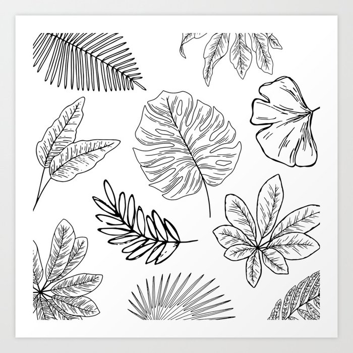Plants and Leaves Pattern Black and White Art Print