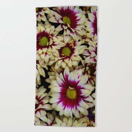Multi color daisies! Beach Towel