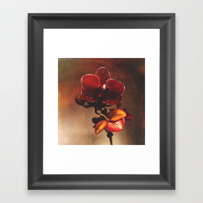 Orchidaceae Amoris Framed Art Print