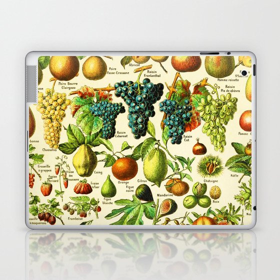 Adolphe Millot "Fruits" 3. Laptop & iPad Skin