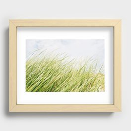 Summer Grass. Recessed Framed Print
