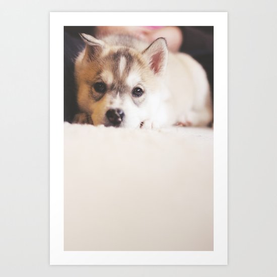 siberian husky puppy - "nova" Art Print