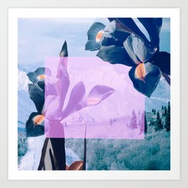 blue flowers Art Print