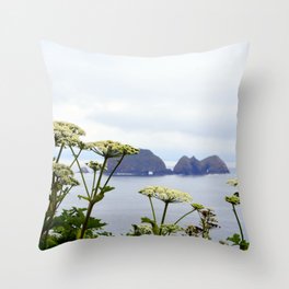 Oregon Coast Throw Pillow
