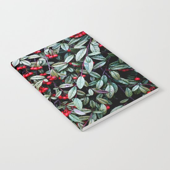 Nature's Pattern Notebook