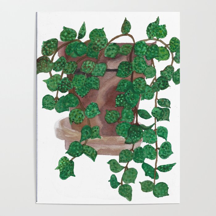 Hoya Curtisii Plant Watercolor Poster