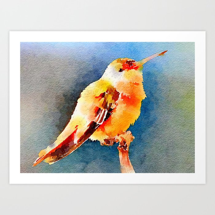 Hummingbird watercolor Art Print