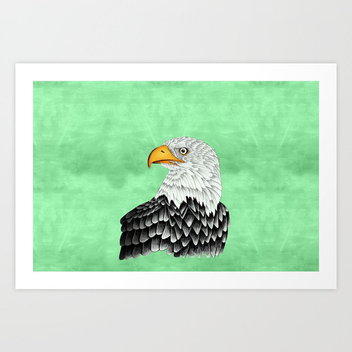 Bald eagle drawing Art Print