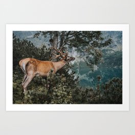 The Mountain Deer - Landscape and Nature Photography Art Print