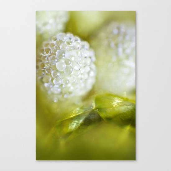 SERIES »MICROPEARLS« III Canvas Print