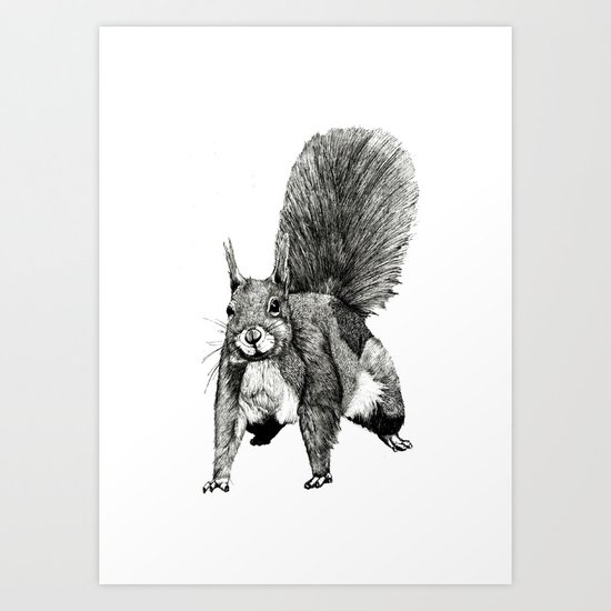 Pesky Squirrel Art Print