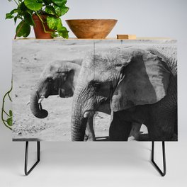 Elephant duo in black & white Credenza