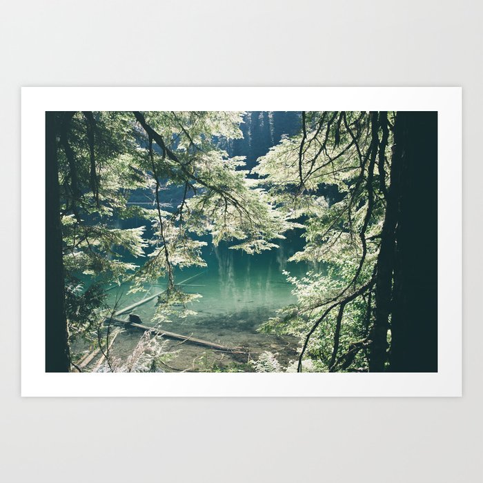 Green Lake Art Print