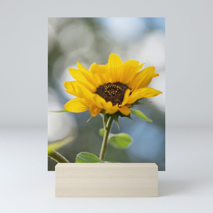 Sunflower And Sunshine Mini Art Print