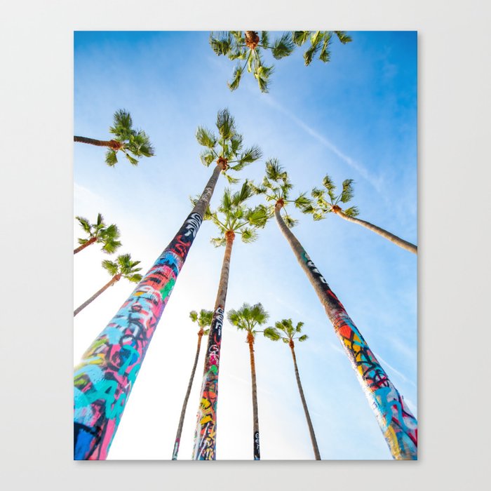 Graffiti palm trees of Venice Beach Canvas Print