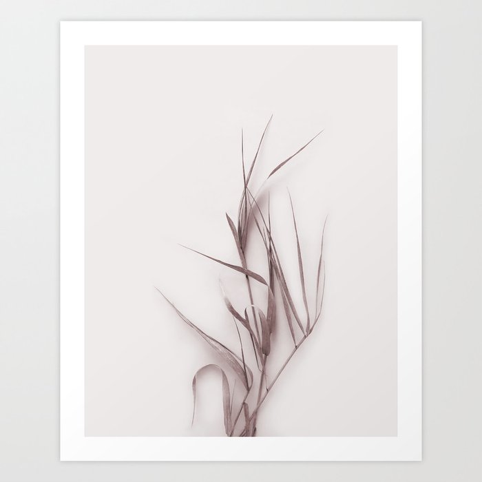 Discover the motif DRIED GRASS SEDGE. by Art by ASolo as a print at TOPPOSTER