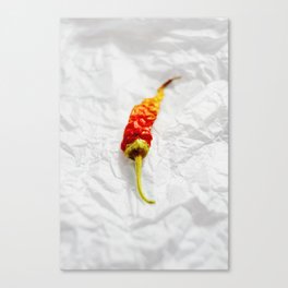 Paper and pepper Canvas Print