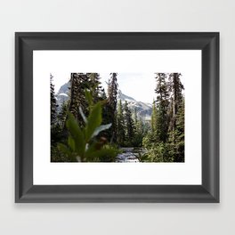 Into the Wild while in Whistler Canada Framed Art Print