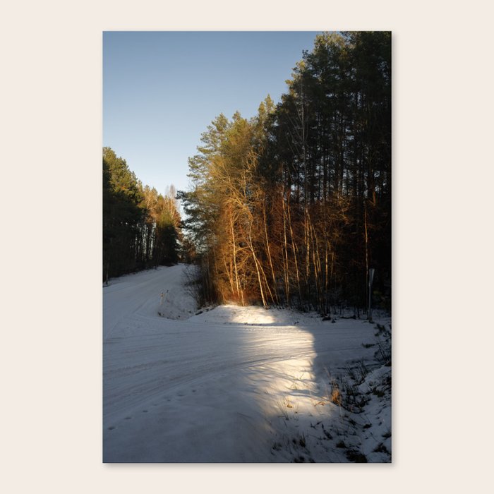 Canvas Print