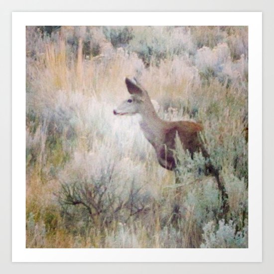 Sage Deer Art Print