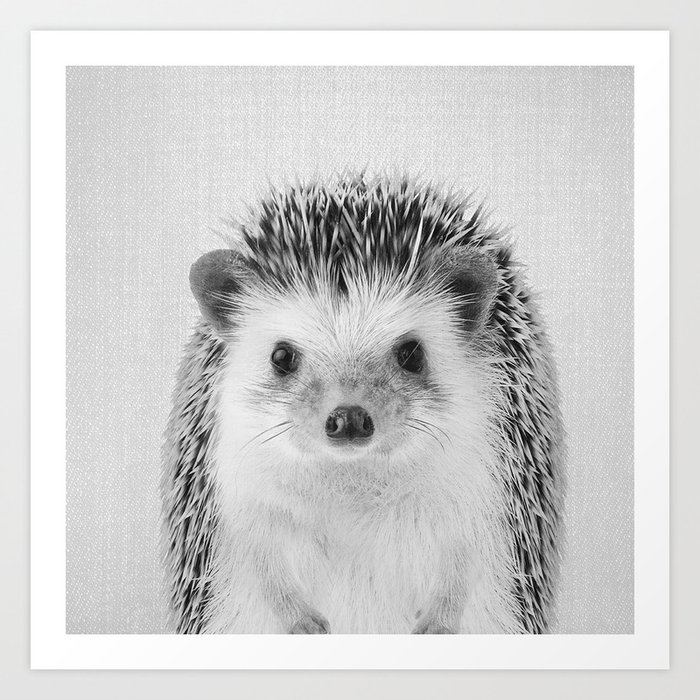 Hedgehog - Black & White Art Print