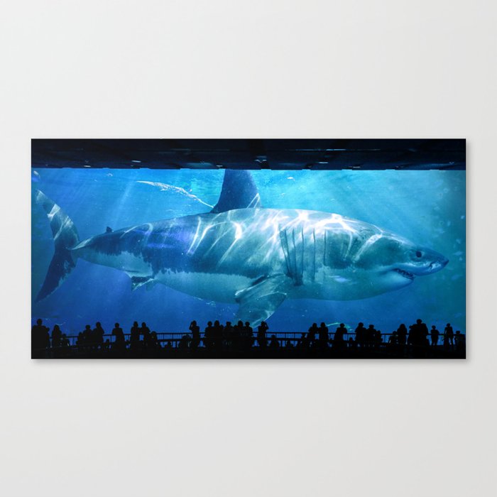Megalodon Shark in Aquarium Canvas Print