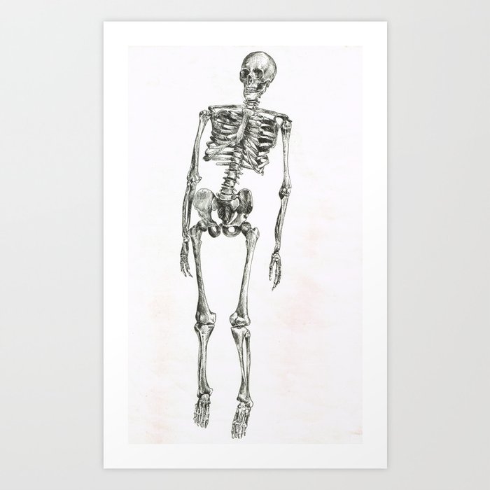 Skeleton Print Art Print