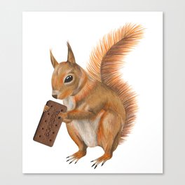 Super squirrel. Canvas Print