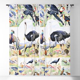 Adolphe Millot "Birds" 4. Blackout Curtain