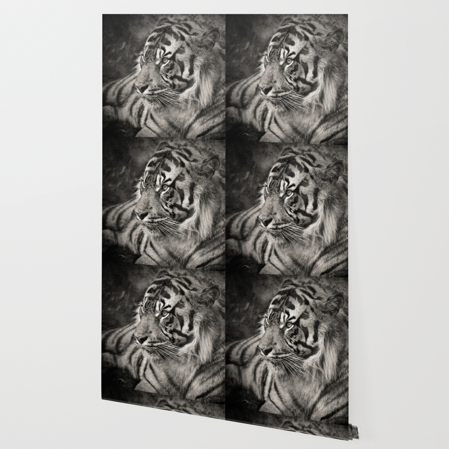 The Mysterious Eye Of The Tiger Bn Wallpaper