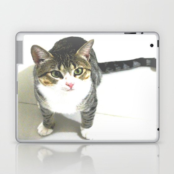 Miojo Cat. Laptop & iPad Skin