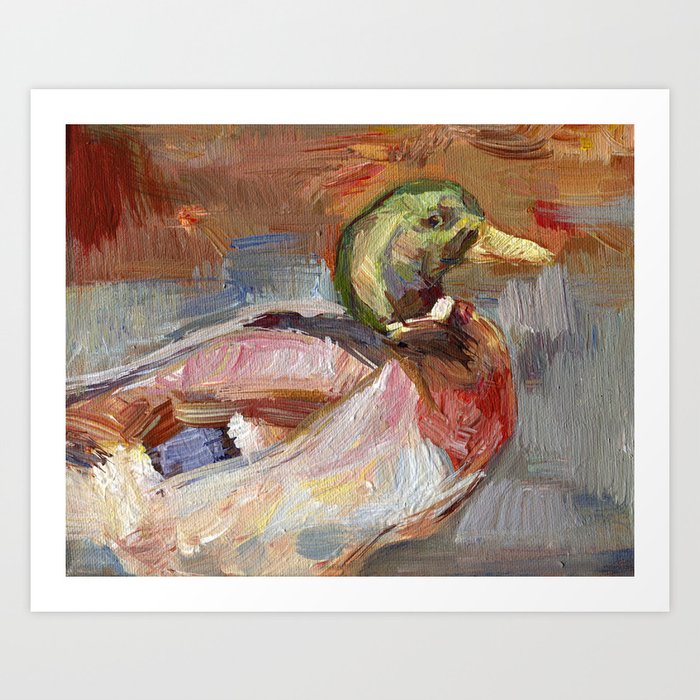 Mallard Duck  Art Print