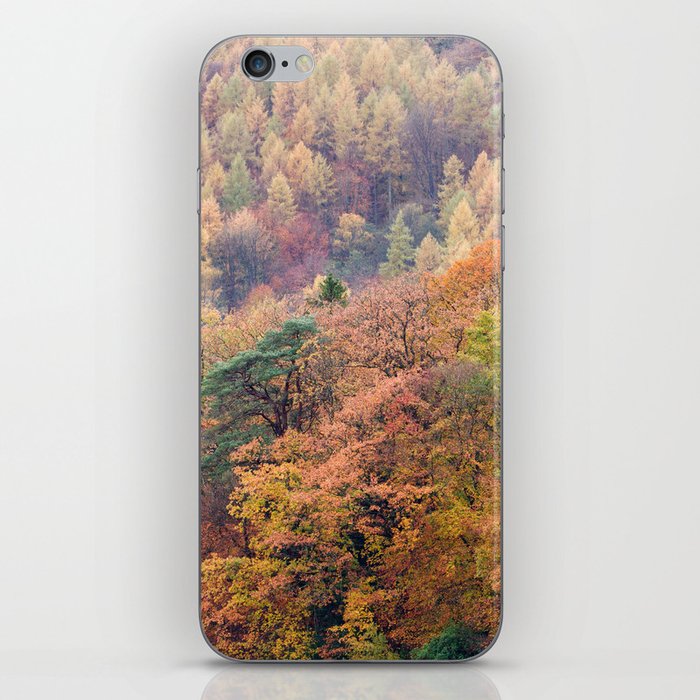 Autumn Trees Panorama iPhone Skin