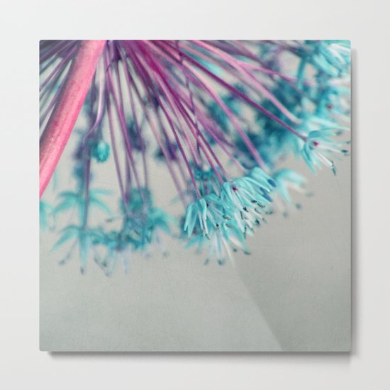 blue allium Metal Print