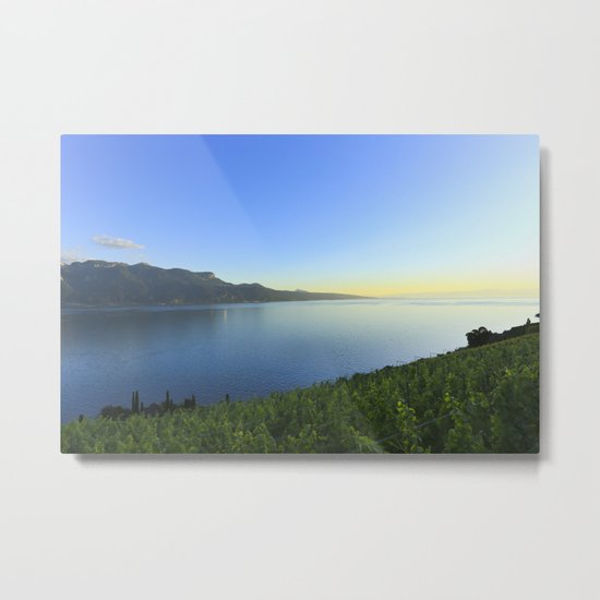 Sunset and Winery Metal Print