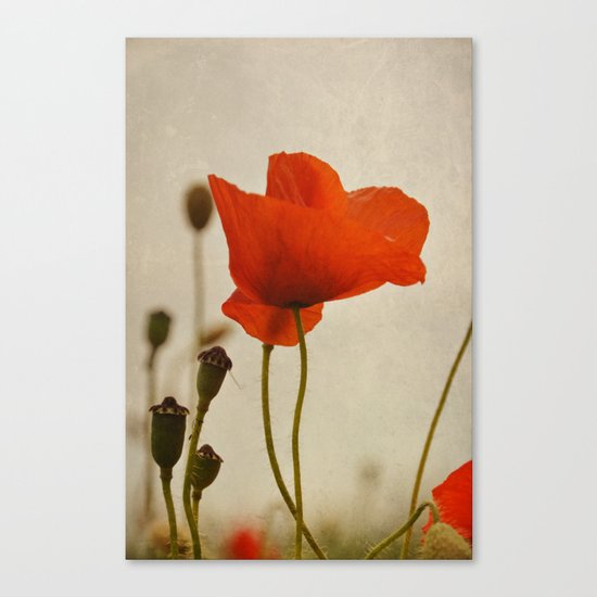 A moment in time Canvas Print
