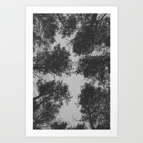 trees Art Print