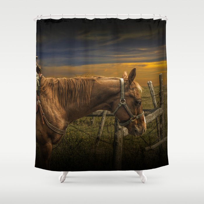 Saddle Horse on the Prairie Shower Curtain