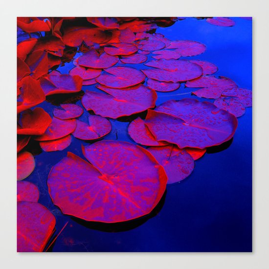 lily pads I Canvas Print